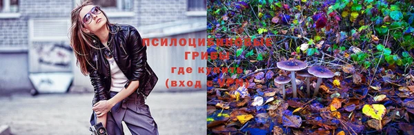 mdpv Алексин
