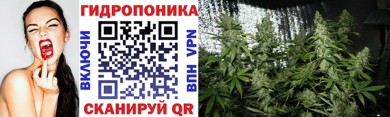Марихуана Ganja  наркотики  МЕГА вход  Мичуринск 